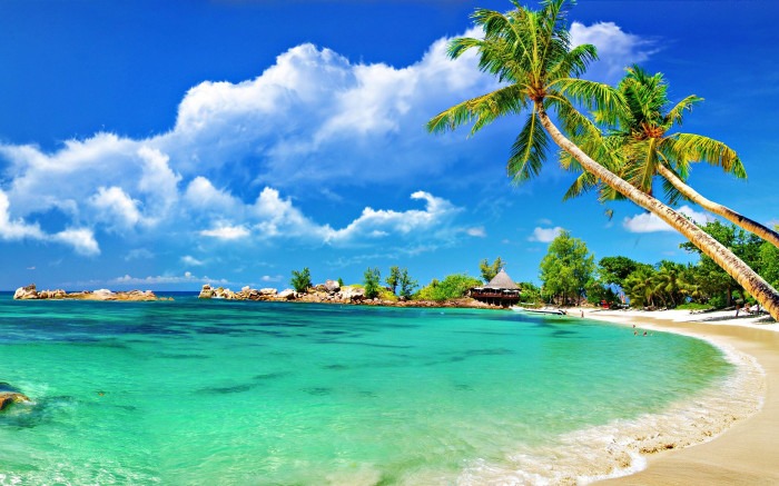  Goa